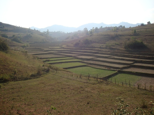 Typical view on the trek from Kalaw to Inle Lake. 